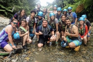 Luquillo: El Yunque Rainforest Hike and Waterslide Tour