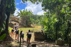 Luquillo: Rainforest Adventure with Food & Photos