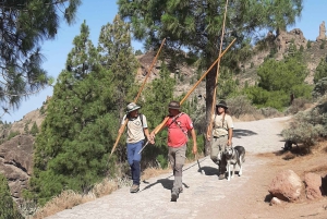Maspalomas: Senderismo al Roque Nublo con 2 guías autorizados