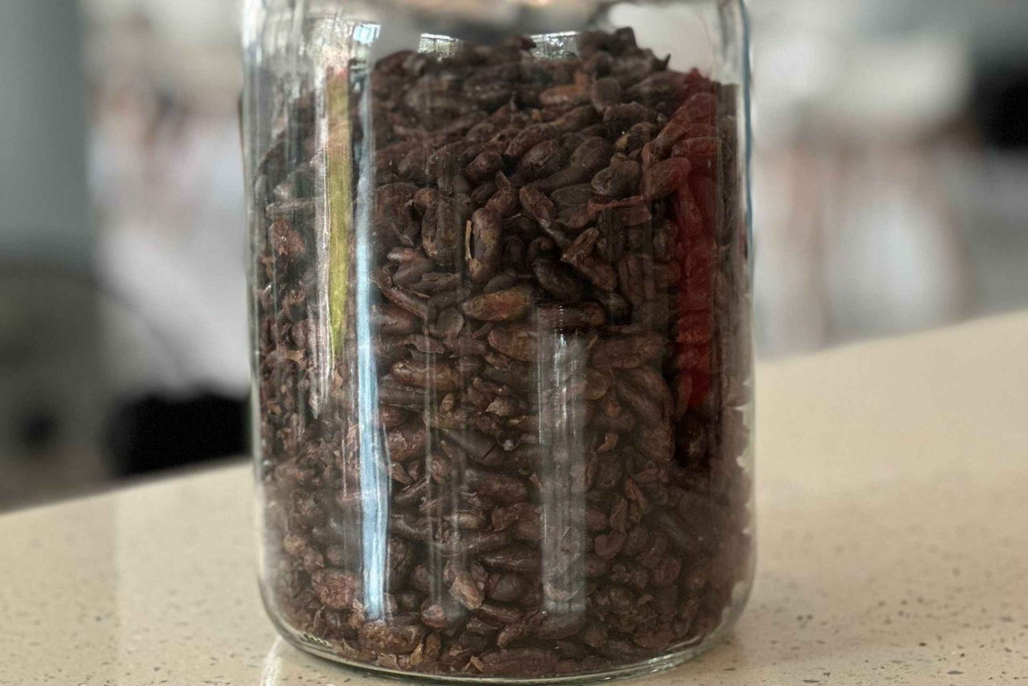 Moca, PR: Tour a piedi della fattoria del cacao e degustazione di cioccolato