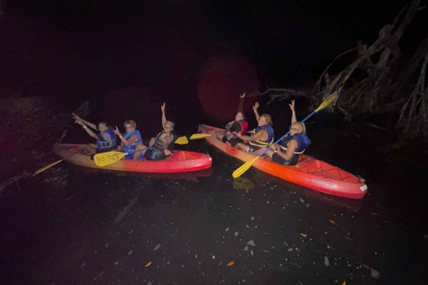Experiencia en Kayak en la bahía de Mosquito, Vieques
