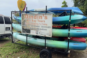 Esperienza di kayak nella baia di Mosquito a Vieques