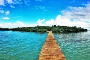 Mystic Waters Under the Sun & Stars Bioluminescent Bay Swim