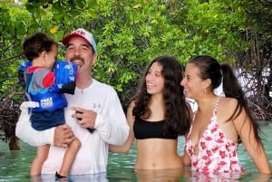 神秘の海 太陽と星の下 バイオルミネセント・ベイ・スイム