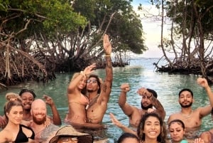 神秘の海 太陽と星の下 バイオルミネセント・ベイ・スイム