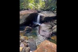 El Yunque Rainforest Guided Hike