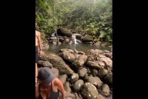 El Yunque Rainforest Guided Hike