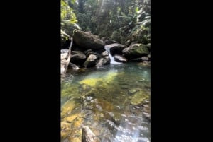 El Yunque Rainforest Guided Hike