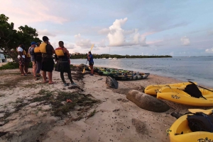 San Juan: Bioluminescent Laguna Grande Bay Night Kayaking
