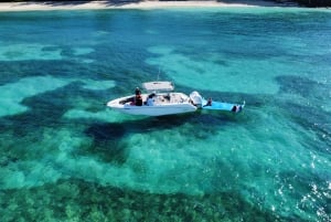 Nite Snorkeling e experiência de barco com aperitivo e bebida