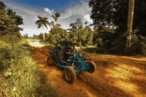 Toa Alta, PR: Off-road Buggy Adventure ( ATV )