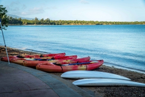 Paddleboard Rental