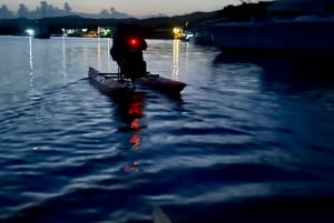 La Parguera: Bioluminescent Bay Chiliboats Experience