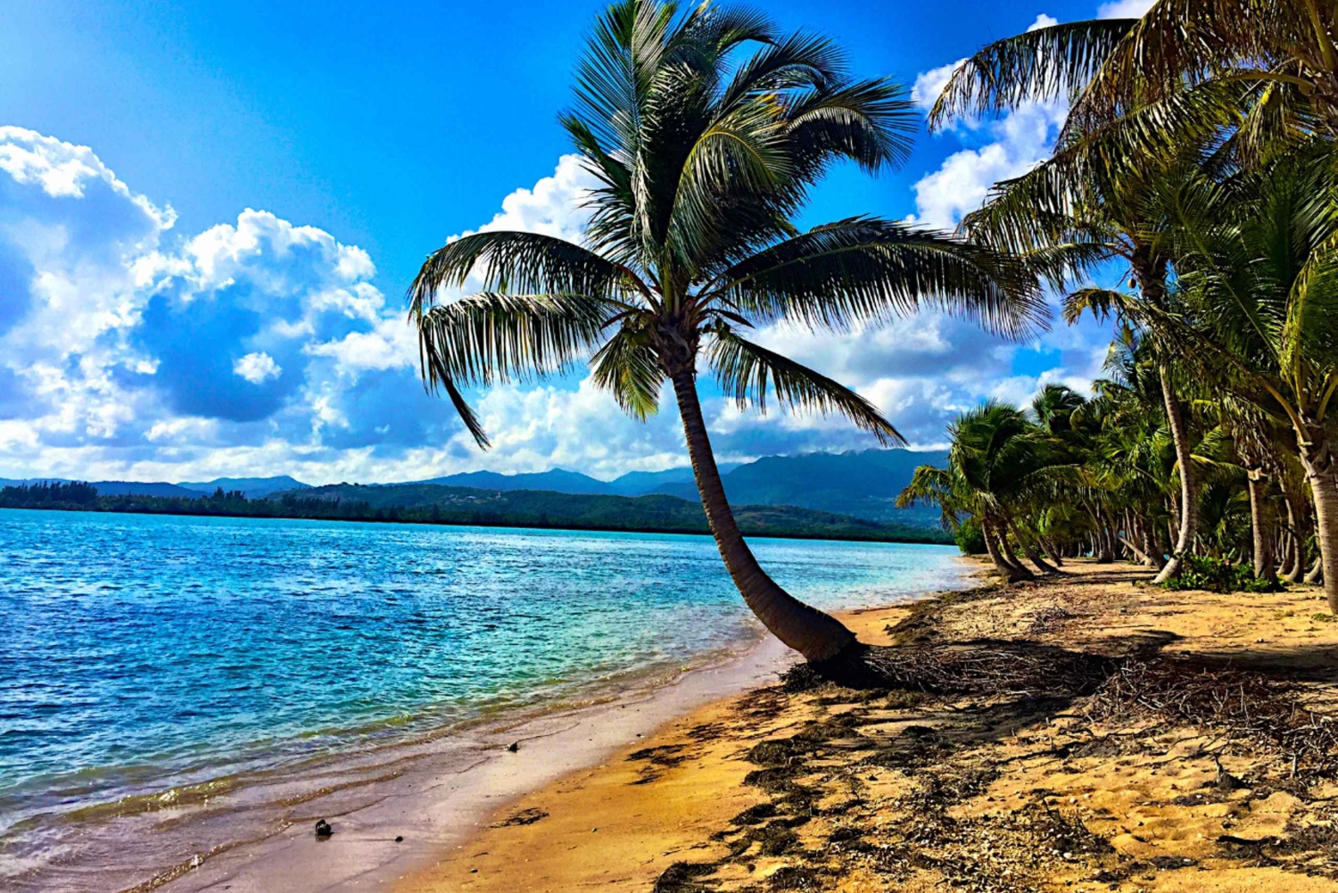 Piñonesin ranta ja aitoa puertoricolaisruokaa – 4 tunnin retki