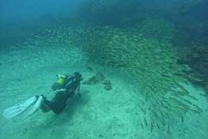 Playa Del Ingles: Ingles: Discover Scuba Diving - Free Transfers