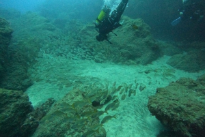 Playa Del Ingles: Ingles: Discover Scuba Diving - Free Transfers