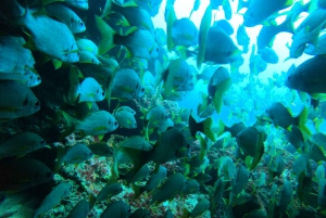 Playa Del Ingles: Ingles: Discover Scuba Diving - Free Transfers