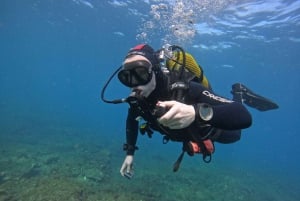 Playa Del Ingles: Ingles: Discover Scuba Diving - Free Transfers