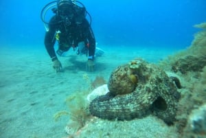 Playa Del Ingles: Ingles: Discover Scuba Diving - Free Transfers