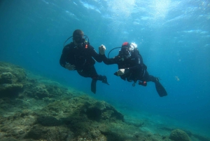 Playa Del Ingles: Ingles: Discover Scuba Diving - Free Transfers