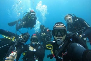 Playa Del Ingles: Ingles: Discover Scuba Diving - Free Transfers