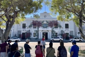 Ponce: Guided City Walking Tour