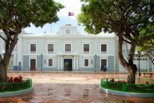 Ponce Historical Walking Tour& Castillo Serralles Tour &Meal