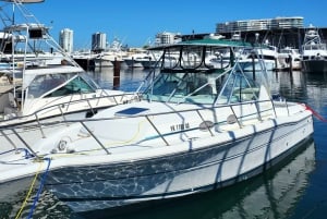 •PR Rentals Fishing Experience | Charter 4-HR | Fishing Trip