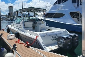 •PR Rentals Fishing Experience | Charter 4-HR | Fishing Trip