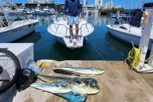 •PR Rentals Fishing Experience | Charter 4-HR | Fishing Trip