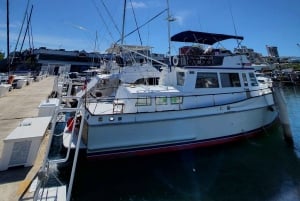 Party Boat Sunset Private Food Tasting Cruise | San Juan Bay