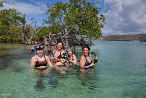 Private Snorkeling, Sunset and Bioluminicent Swim Boat Tour