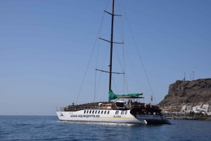 Puerto Rico : 2 hour Dolphin Catamaran Excursion