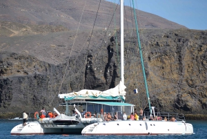 Puerto Rico: 4-Hour Catamaran Excursion in the South