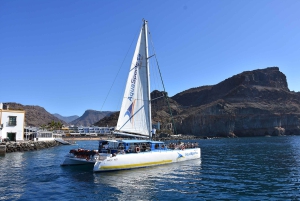 Puerto Rico: 4-Hour Catamaran Excursion in the South