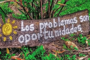 プエルトリコ: バニョス デ ホット スプリングス