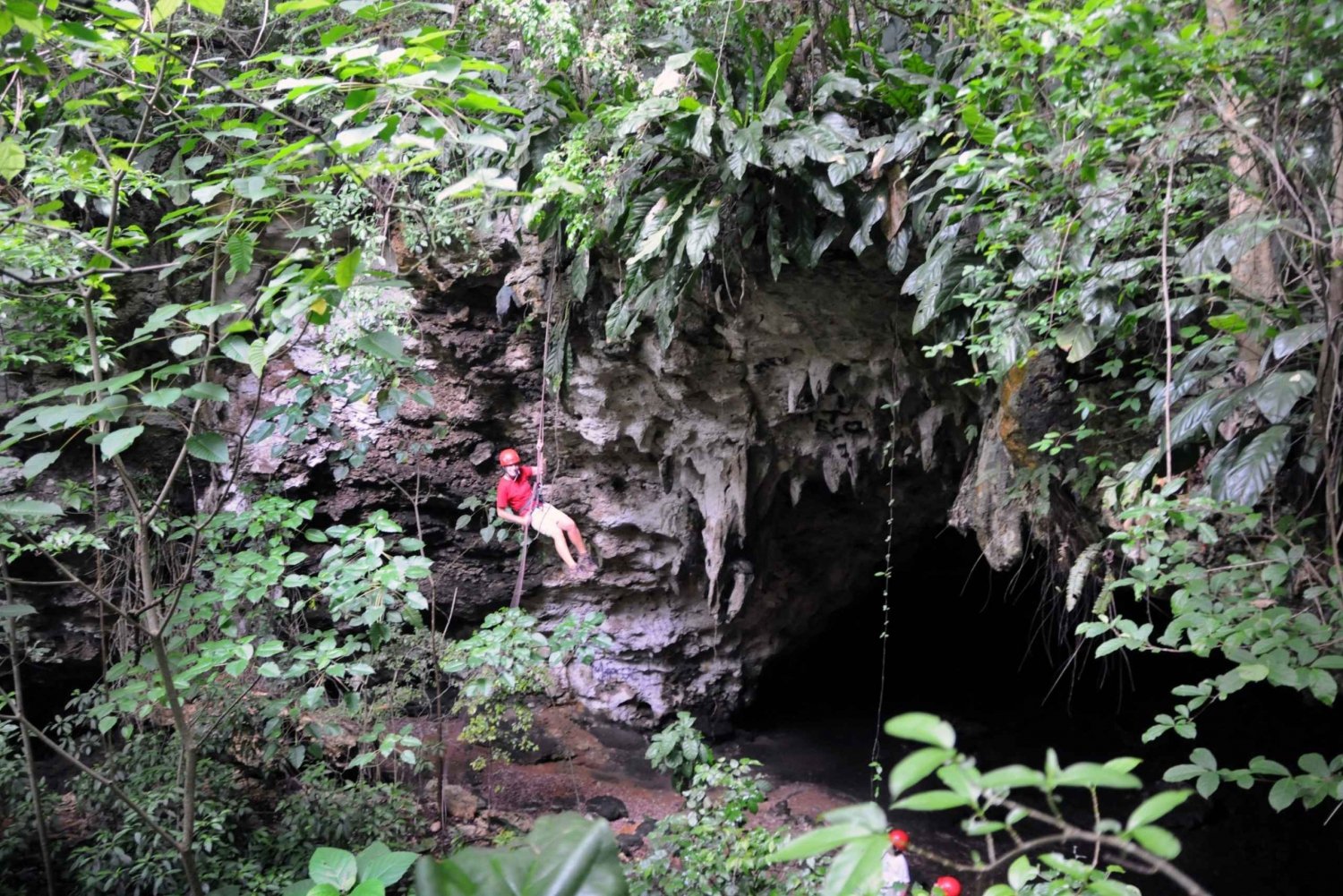 EcoAdventure Cave Rappel & Zipline Safari in San Juan, PR