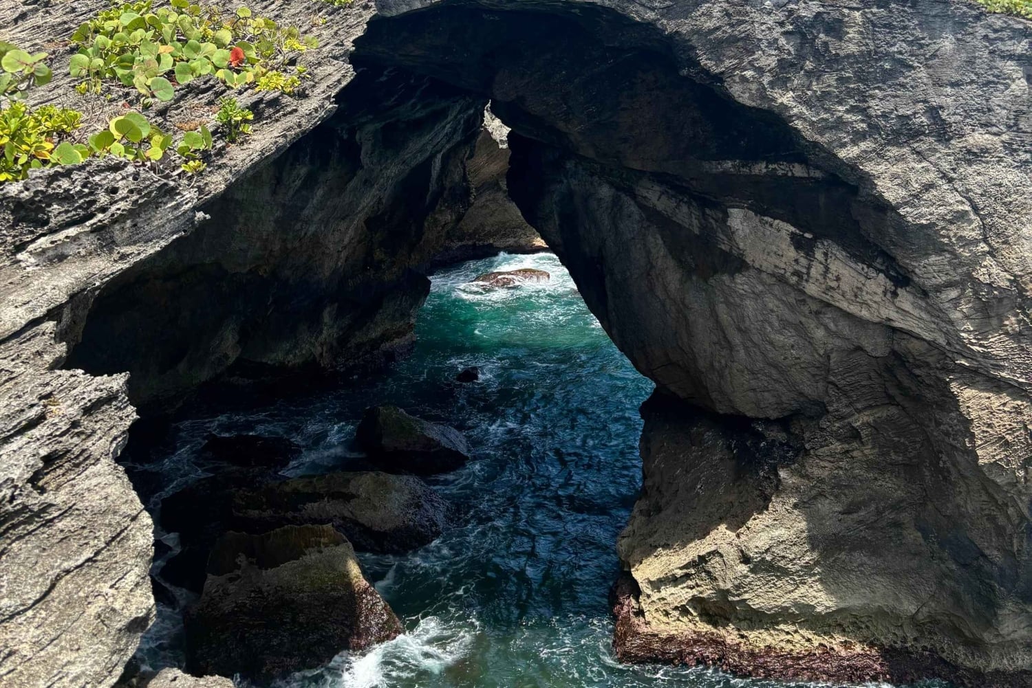 Puerto Rico: Grotte- og strandhopping