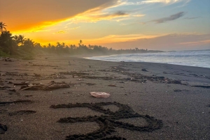 Puerto Rico: Grotte- og strandhopping