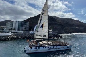Puerto Rico de Gran Canaria: Premium Dolphin Catamaran Tour