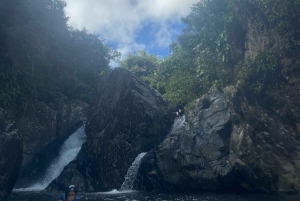 San Juan : Excursion dans la forêt tropicale d'El Yunque avec plongée en apnée