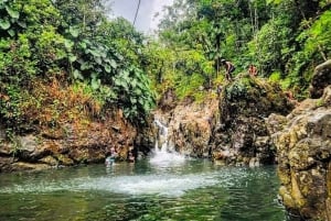 San Juan : Excursion dans la forêt tropicale d'El Yunque avec plongée en apnée