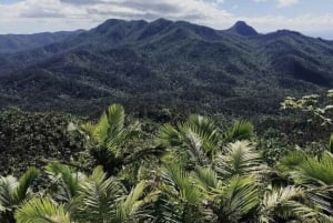 Puerto Rico: El Yunque Rainforest Guided Tour with Transfers