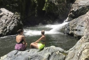 Puerto Rico: El Yunque Rainforest Guided Tour with Transfers