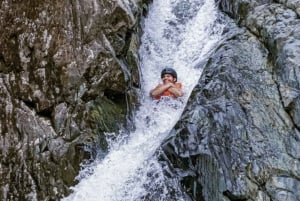 Puerto Rico: El Yunque Rainforest Guided Tour with Transfers