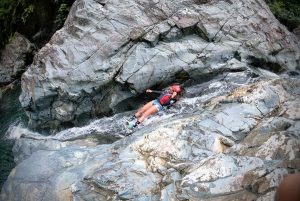 Puerto Rico: El Yunque Rainforest & Waterfalls Half-Day Tour