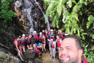 Puerto Rico: El Yunque Rainforest & Waterfalls Half-Day Tour