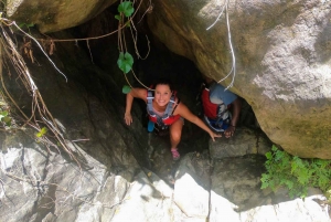 Puerto Rico: El Yunque Rainforest & Waterfalls Half-Day Tour