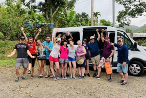 Puerto Rico: El Yunque Rainforest & Waterfalls Half-Day Tour