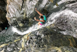 Puerto Rico: El Yunque Rainforest & Waterfalls Half-Day Tour
